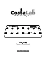 Costalab Labyrinth User Manual preview