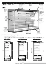 Preview for 11 page of Costan LION COMPACT User Instructions