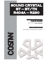 Costan SOUND CRYSTAL BT User Instructions предпросмотр