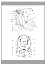 Предварительный просмотр 3 страницы Coto baby SALSA PRO User Manual