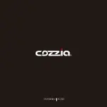 Cozzia CZ-640 User Manual предпросмотр