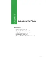 Предварительный просмотр 73 страницы CPG PageMaster 260N User Manual