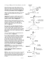 Предварительный просмотр 17 страницы Craftmade TG52 Installation Manual