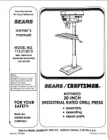 Craftsman 113.213213 Owner'S Manual preview