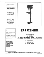 Craftsman 113.213843 Owner'S Manual preview