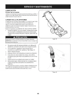 Предварительный просмотр 49 страницы Craftsman 247.38911 Operator'S Manual