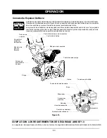 Предварительный просмотр 50 страницы Craftsman 247.88855 Owner'S Manual