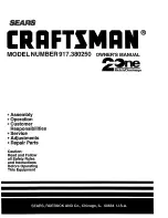 Craftsman 2One 917.380250 Owner'S Manual предпросмотр