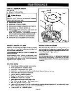 Предварительный просмотр 19 страницы Craftsman 315.175040 Owner'S Manual