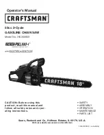 Craftsman 316.350850 Operator'S Manual preview