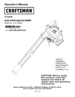 Craftsman 316.794830 Operator'S Manual предпросмотр