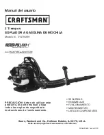 Preview for 21 page of Craftsman 316.794991 Operator'S Manual