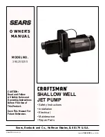 Preview for 1 page of Craftsman 390.250255 Owner'S Manual