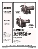 Preview for 1 page of Craftsman 390.251183 Owner'S Manual