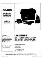 Preview for 1 page of Craftsman 390.307060 Owner'S Manual