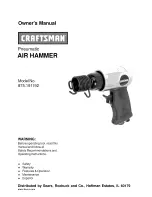 Craftsman 875.191192 Owner'S Manual preview