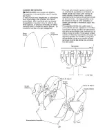 Preview for 39 page of Craftsman 917.297041 Owner'S Manual