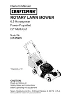 Craftsman 917.376071 Owner'S Manual предпросмотр