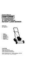 Craftsman 917.387411 Owner'S Manual предпросмотр