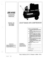 Craftsman 919.176980 Owner'S Manual preview