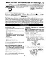 Preview for 41 page of Craftsman 919.763010 Owner'S Manual