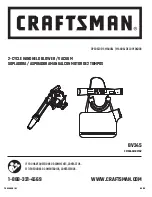 Craftsman BV245 Operator'S Manual preview