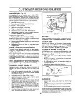 Предварительный просмотр 20 страницы Craftsman EZ3 917.259590 Owner'S Manual