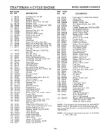 Preview for 19 page of Craftsman EZ3 917.386132 Owner'S Manual