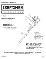 Craftsman INCREDI.PULL 316.794802 Operator'S Manual preview