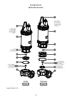 Предварительный просмотр 28 страницы CRANE PUMPS & SYSTEMS DEMING 7365 Series Installation And Operation Manual