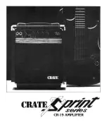 Crate Amplifier CR19 Operation Manual предпросмотр