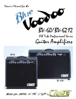 Предварительный просмотр 1 страницы Crate BLUE VOODOO BV-60 Owner'S Manual