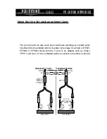 Предварительный просмотр 4 страницы Crate Palomino V8 User Manual