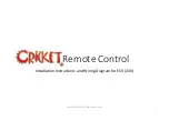 Cricket ESV Installation Instructions And Wiring Diagram предпросмотр