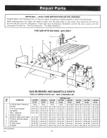 Preview for 16 page of Crown Boiler DG-112-EI Installation Instructions Manual