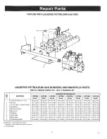 Preview for 17 page of Crown Boiler DG-112-EI Installation Instructions Manual