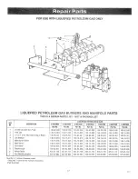 Preview for 17 page of Crown Boiler DG-112 Installation Instructions Manual