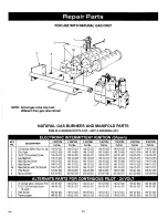 Предварительный просмотр 28 страницы Crown Boiler Jamaica JBF-32EID Installation Instructions Manual