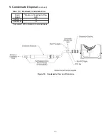 Предварительный просмотр 35 страницы Crown Boiler Phantom-X PHNTM210 Installation And Operating Instructions Manual