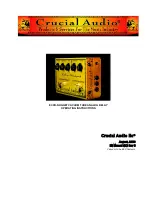 Crucial Audio ECHO-NUGGET Operating Instructions Manual предпросмотр