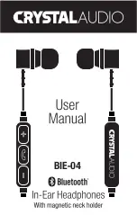 Предварительный просмотр 1 страницы Crystal Acoustics BIE-04 User Manual