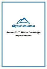 Crystal Mountain SmartFlo Replacement preview