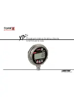 Crystal Pressure XP2i Programming Instructions Manual предпросмотр