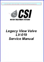 Preview for 1 page of CSI LV-019 Service Manual