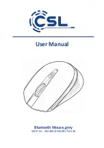 CSL 20160817SZ136 User Manual предпросмотр