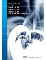 CTC Union GSW-3208M User Manual предпросмотр