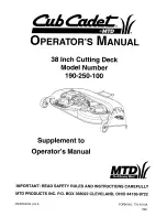 Cub Cadet 190-250-100 Operator'S Manual Supplement предпросмотр