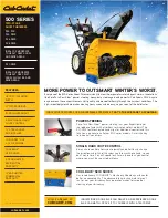 Cub Cadet 524 SWE Specifications предпросмотр