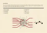 Предварительный просмотр 3 страницы Cuervo y Sobrinos ROBUSTO PERPETUAL CALENDAR Instruction Manual