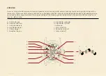 Предварительный просмотр 5 страницы Cuervo y Sobrinos ROBUSTO PERPETUAL CALENDAR Instruction Manual